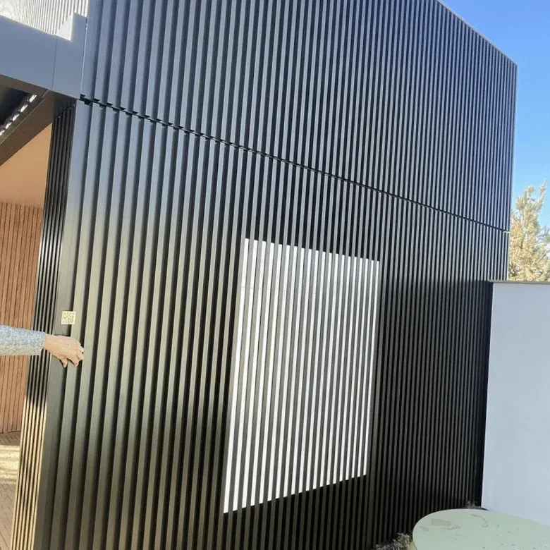 Façade en bardage aluminium à lames verticales noires, avec porte intégrée affleurante